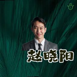 赵晓阳